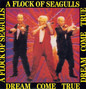 Il testo della Whole lot of loving A Flock Of Seagulls