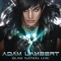 Lyrics of Fever Adam Lambert
