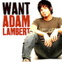Lyrics of Want Adam Lambert