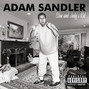 Il testo della Inner voice Adam Sandler