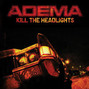 Lyrics of What doesn't kill us Adema