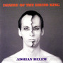 Il testo della Ballet for a blue whale Adrian Belew
