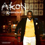 Il testo della Never took the time Akon