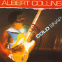 Il testo della Fake i.d. Albert Collins