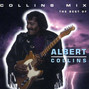 Il testo della Honey hush Albert Collins