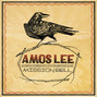 Lyrics of Learned a lot Amos Lee