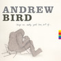 Il testo della Cathedral in the dell Andrew Bird