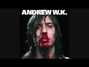 Lyrics of Fun night Andrew Wk