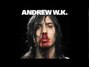 Paroles de Party til you puke Andrew Wk