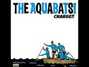 Paroles de Meltdown! Aquabats