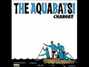 Paroles de Nerd alert! Aquabats