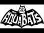 Paroles de Ska robot army Aquabats