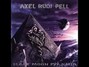 Il testo della Visions in the night Axel Rudi Pell