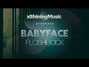 Il testo della Flashback Babyface