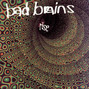 Il testo della Without you Bad Brains