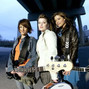 Il testo della Grey Barlowgirl