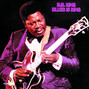 Il testo della Tired of your jive B.b. King