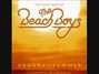 Il testo della Catch a wave Beach Boys