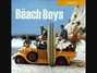 Il testo della Good vibrations Beach Boys