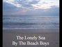 Il testo della Lonely sea Beach Boys