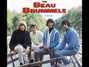 Il testo della They'll make you cry Beau Brummels