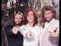 Il testo della Cherry red Bee Gees
