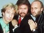 Il testo della Evolution Bee Gees