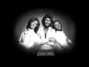 Il testo della Just in case Bee Gees