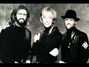 Il testo della Party with no name Bee Gees