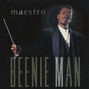 Il testo della Africans Beenie Man