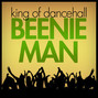 Il testo della Boogie down Beenie Man