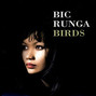 Lyrics of The be all and end all Bic Runga