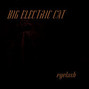 Il testo della Secret desire Big Electric Cat