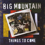Il testo della Only one Big Mountain