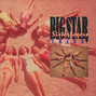 Il testo della Downs Big Star