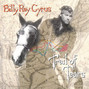 Il testo della Truth is i lied Billy Ray Cyrus