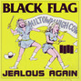 Il testo della You bet we've got something against you! Black Flag