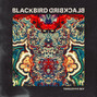 Lyrics of Grow old with me (don't let go) Blackbird Blackbird