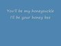 Lyrics of Honey bee Blake Shelton