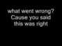 Il testo della What went wrong Blink 182