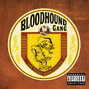 Il testo della Reflections of remoh Bloodhound Gang