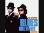 Lyrics of Rubber biscuit Blues Brothers