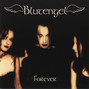 Il testo della Forever Blutengel