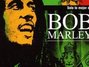 Lyrics of Brand new second hand Bob Marley