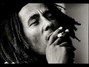 Il testo della How many times Bob Marley