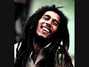 Il testo della Is this love (horns mix) Bob Marley
