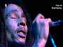Il testo della No woman no cry [live] Bob Marley