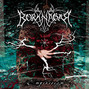 Il testo della The genuine pulse Borknagar