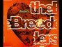 Il testo della New year ( demo ) Breeders