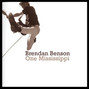 Il testo della Bird's eye view Brendan Benson